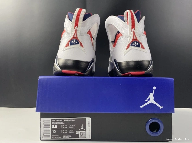 Jordan PSG 7 CZ0789-105 Air 0529